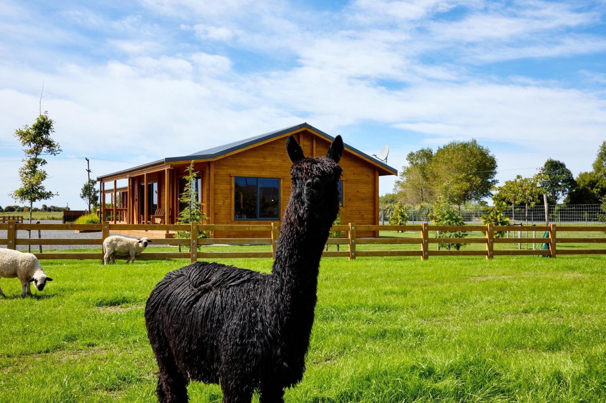 Deerbrooke Kaikoura Chalets - Chalet 2 מראה חיצוני תמונה